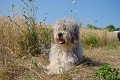 image_14_DSC00025